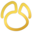 Navicat Premium 16 icon