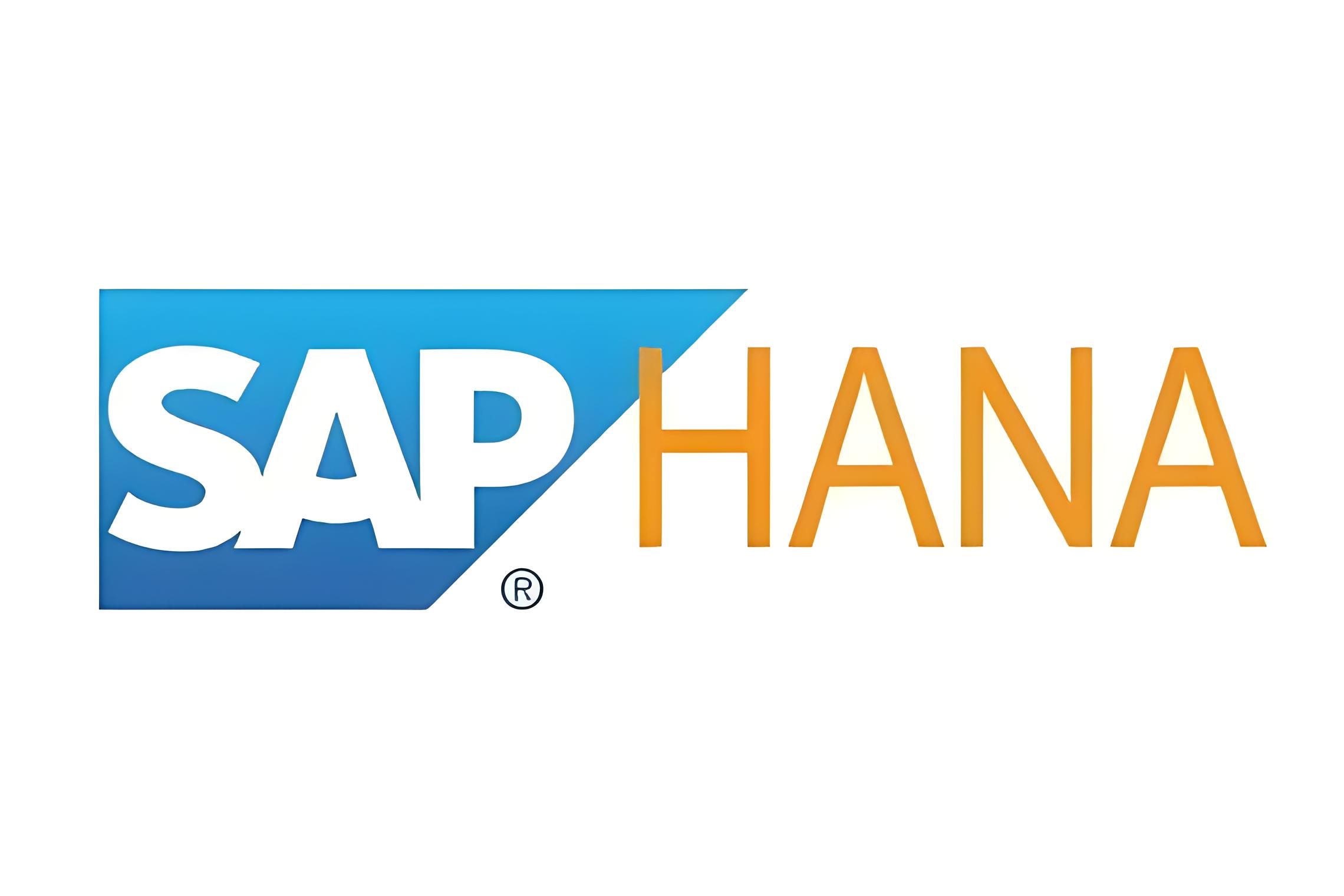 SAP HANA icon